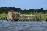 Balade en barque dans la Grande Brière, près de St-André-des-Eaux - MK3_4641_DXO.jpg
