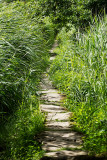Le pont de Gras près du village classé de Kerhinet - MK3_4711_DXO.jpg