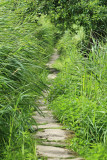 Le pont de Gras près du village classé de Kerhinet - MK3_4712_DXO.jpg
