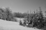 Winter scene in Quebec II