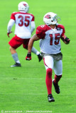 Arizona Cardinals