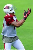 Arizona Cardinals