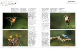 Master Craftsman Article page 3-4