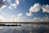 _MG_9704 whitstable.jpg