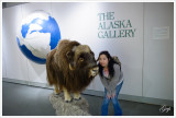 Musk ox