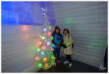 at Aurora Ice Museum at Chena Hot Springs Resort