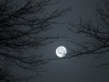 Moon over the Hillcrest area of Frederick