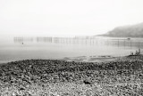 Fog and Weir, Gullivers Cove, Nova Scotia