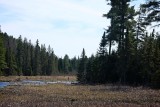 Algonquin Park, Ontario