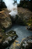 Dragons Mouth, Yellowstone National Park