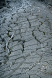 Ex-Bubbling Mud Pot, Yellowstone National Park