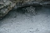 Mud Volcano Area, Yellowstone National Park
