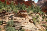 Zion National Park