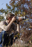Oliver, photographing birds