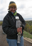 Gail with adult Northern Goshawk