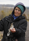 Judy with the Northern Shrike, that bob adopted for her!