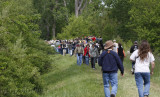 The Kirtlands Warbler mecca