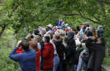 Birding Crowd