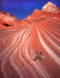 Coyote Buttes North