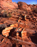 Valley of Fire SP, NV