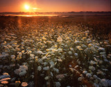 Glacial Park, McHenry Co, IL