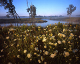 Glacial Park, McHenry Co, IL