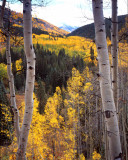 Ohio Pass, Colorado