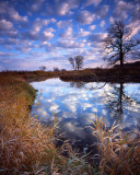 Glacial Park Morning