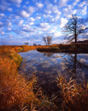 Glacial Park Morning