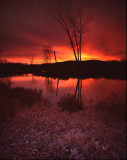 Glacial Park Morning