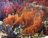 Red Canyon, Utah