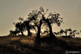 Extremadura