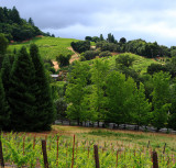 Untitled_Panorama1.jpg