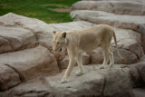 img_2010_11_20_0046.jpg