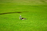 img_2010_11_20_0061.jpg