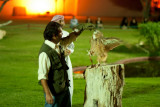 img_2010_11_20_0064.jpg