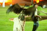 img_2010_11_20_0072.jpg
