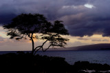 Evening in Maui