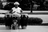 The Drummer