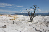  yellowstone np