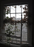 Inside....looking out