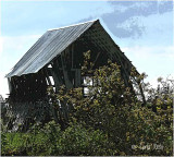 Old Barn....hanging in there...