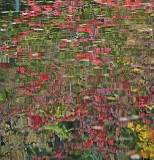 Reflection in the water