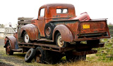 Can I hitch a ride?