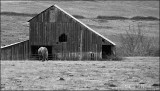 Old barn