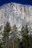 W-2011-02-09-0288- Yosemite -Photo Alain Trinckvel.jpg