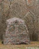 My Blind 11_11_05.jpg