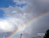 Oregon Rainbow
