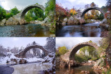 Four Seasons