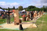 Carve Carrbridge 2011